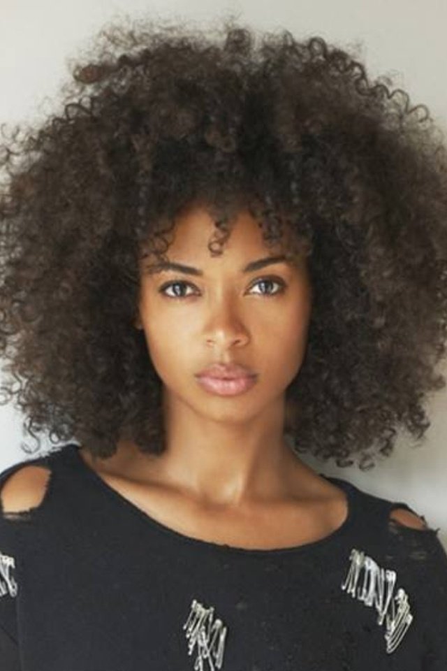 Curly Afro Hairstyles For Womens - Fave HairStyles