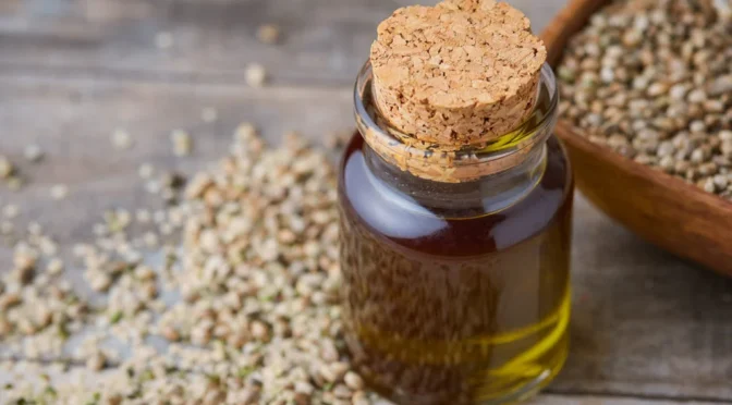 Organic Hemp Seed Oil: A Natural Solution for Skin and Hair Care